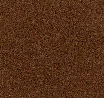 Ковролин Radici Admiral Autunno 631 фото 1 | FLOORDEALER